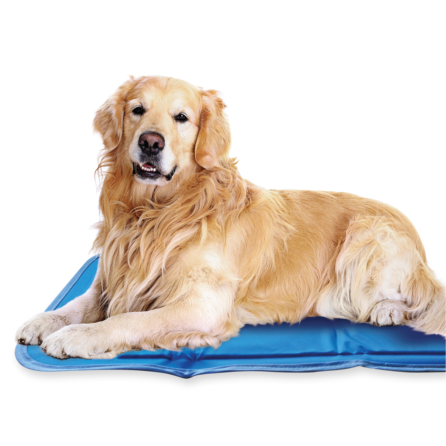 π§ Leak-Proof Protection β Multi-layer design prevents leaks, keeping floors, crates, and furniture clean and dry.
