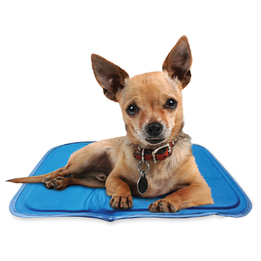 Waterproof Heated Dog Bed – 28"x18" Thermostat-Controlled Pet Pad with Non-Slip Wire & Paw Print Design
