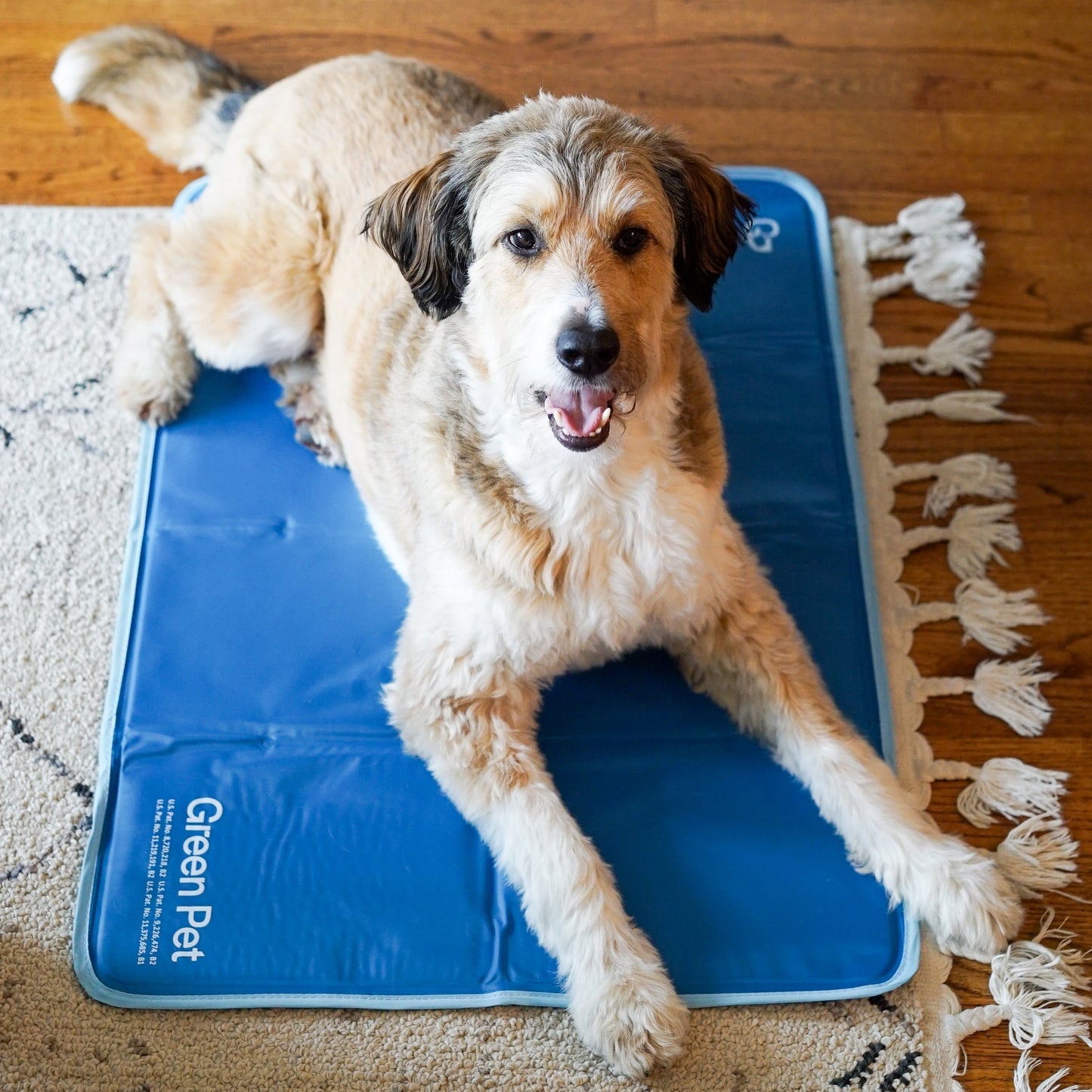 4-Pack Eco-Friendly Dog Pee Pads – Washable, Reusable & Durable Pet Training Mats with Non-Slip Base (Blue)